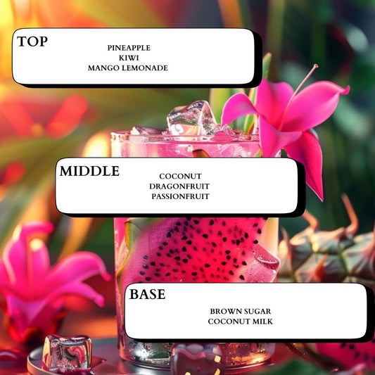 BAHAMAS PROMISES - Minimal & Mine