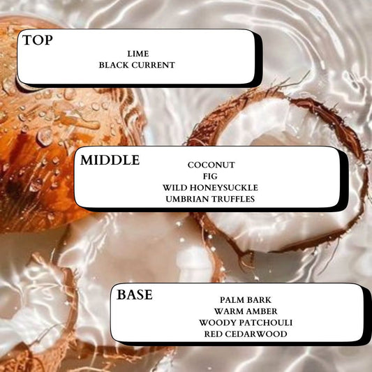 BEACH PLEASE - Minimal & Mine