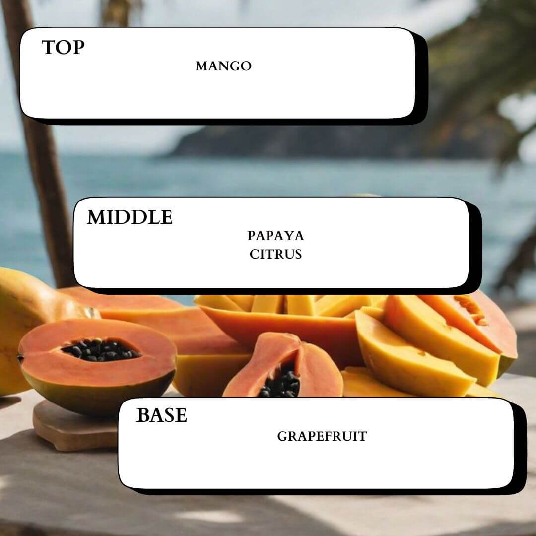 SUNKISSED - Minimal & Mine