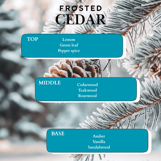 FROSTED CEDAR WAX MELT - Minimal & Mine